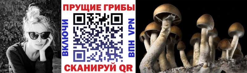 Галлюциногенные грибы GOLDEN TEACHER  Красково 